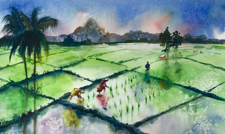 Land for Old
